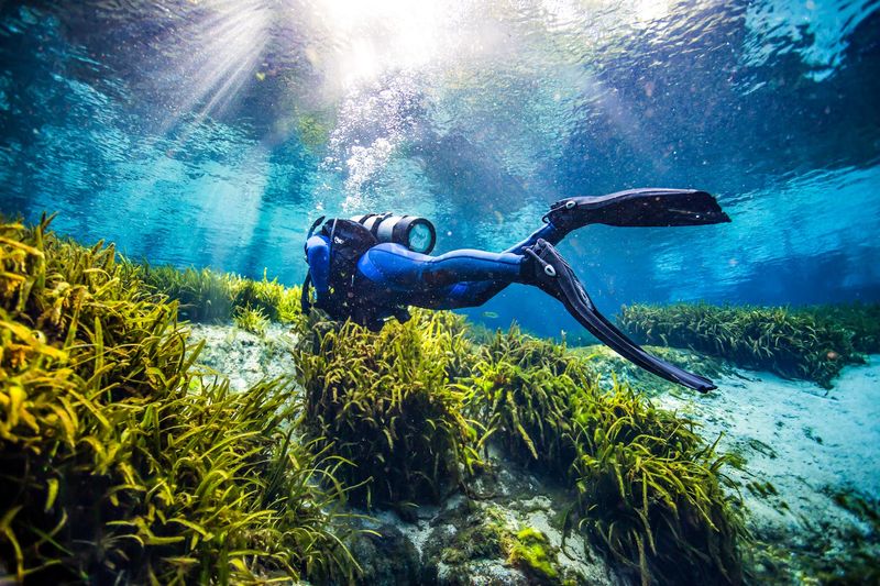 Snorkeling Over The Vent