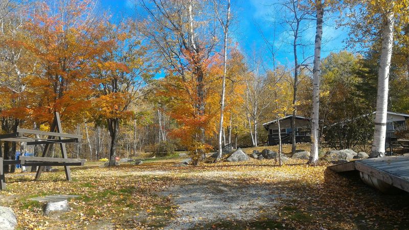 Picnic Tables, Grills, and Shady Spots