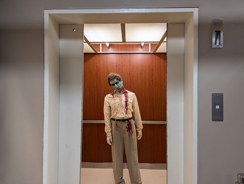 Photos, Selfies, And Iconic Shots