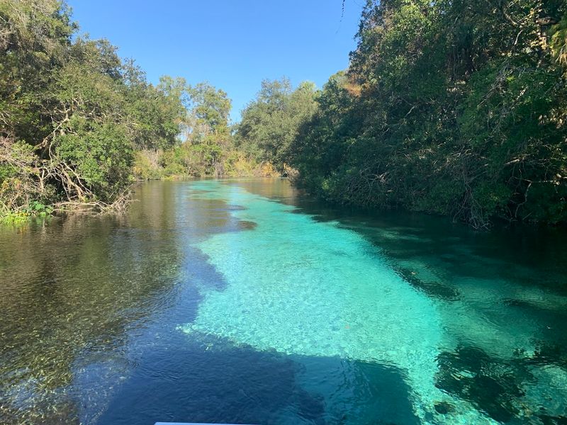 The Scenic Riverboat Cruise and Wildlife Spotting