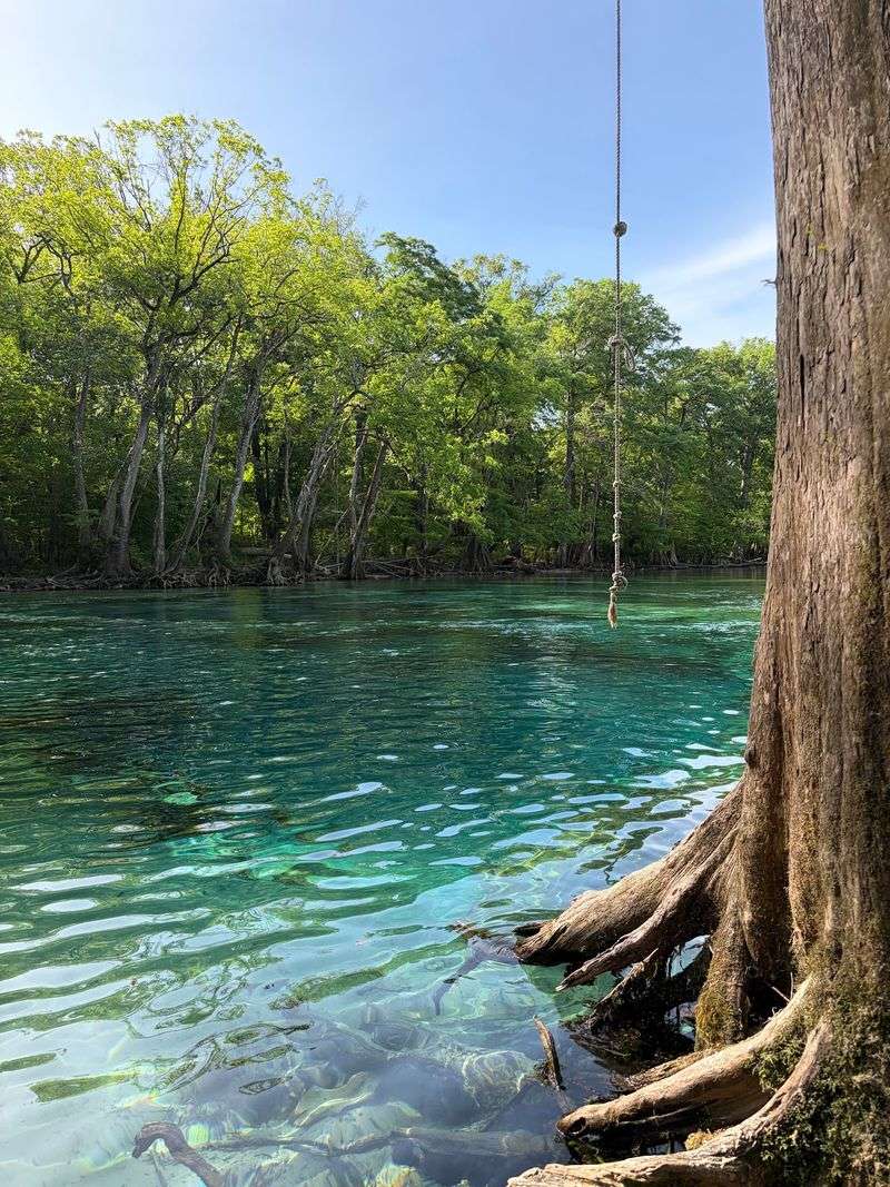 Cypress Springs