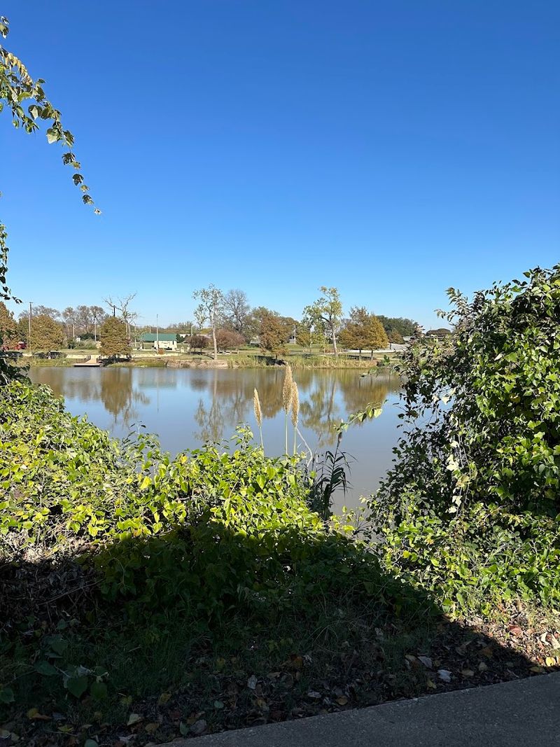 Wildlife Watching Along the Brazos