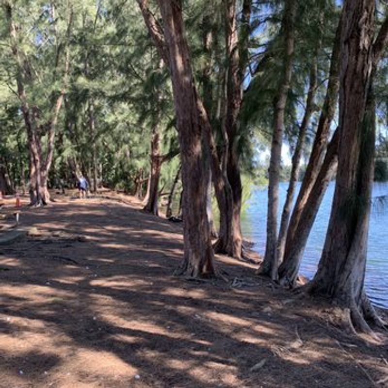 That 1.5-Mile Loop Trail Everyone Raves About