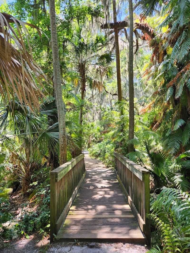 Trails That Connect: Bike And Beyond