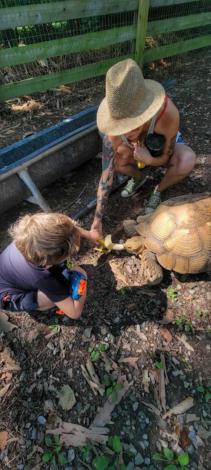 The mission shines through in every review