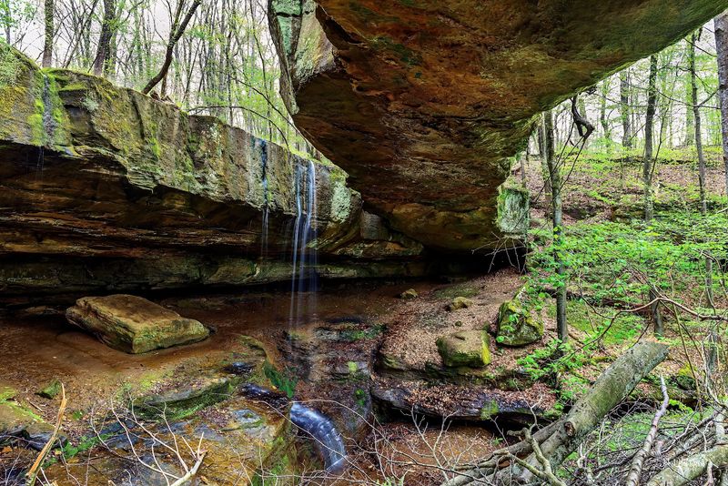 Rockbridge State Nature Preserve, Rockbridge, Ohio