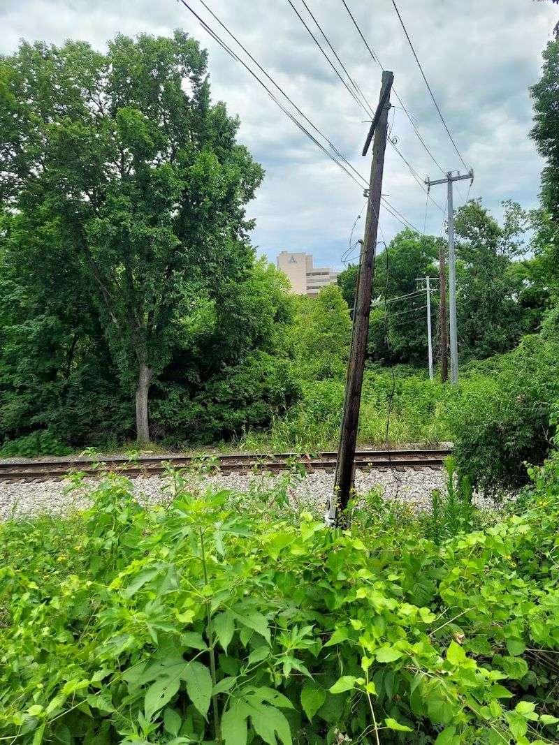 What Happened at Dutchman's Curve in Nashville