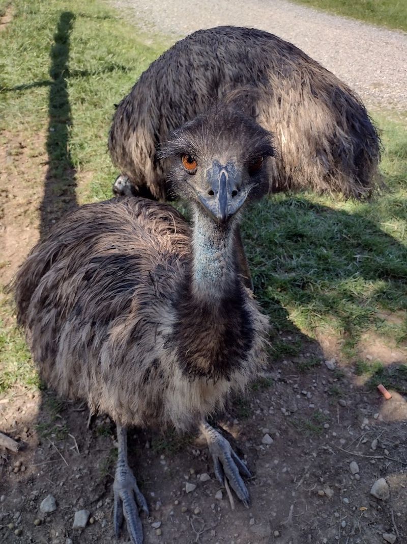 Families get a full day of fun, not just a quick stop