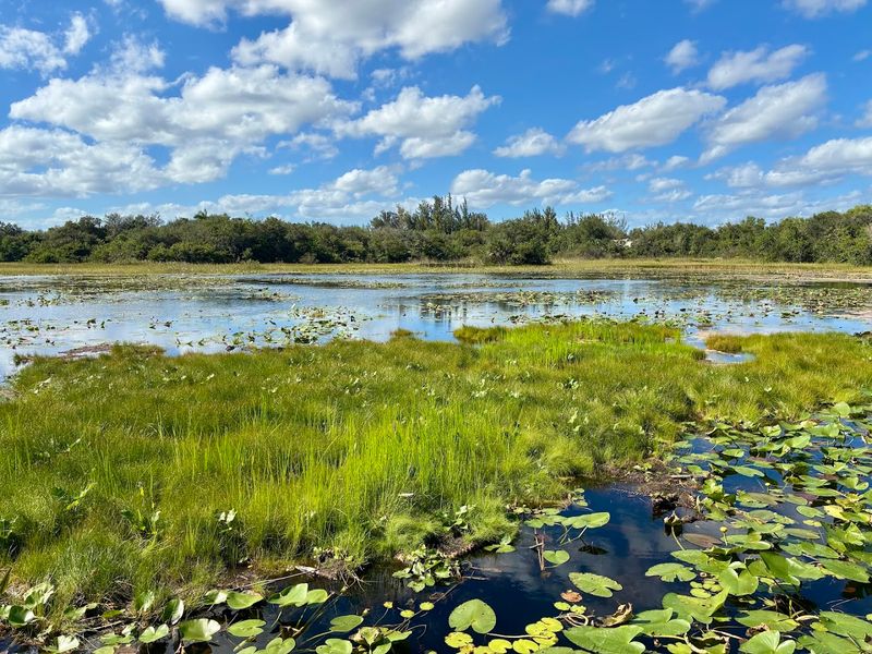 Paddleboat Rentals and Lakeside Relaxation for Water Lovers