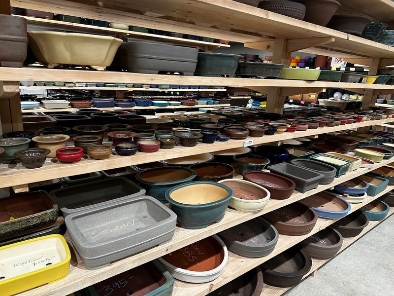 Pots and Supplies That Complete the Picture