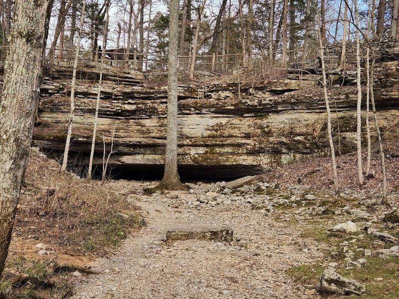 Cedar Forest Trail — Cedars of Lebanon State Park