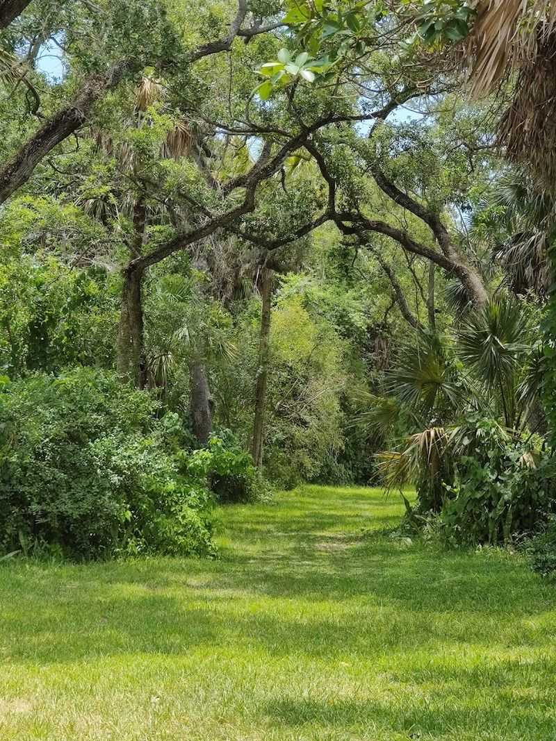 Shaded Walking Trails Throughout the Entire Park