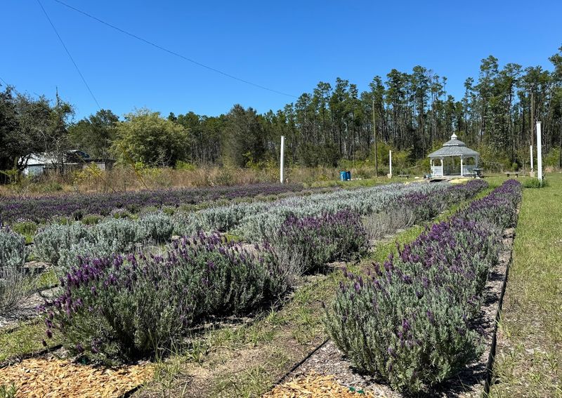 Educational Farm Tours Led by Passionate Owners