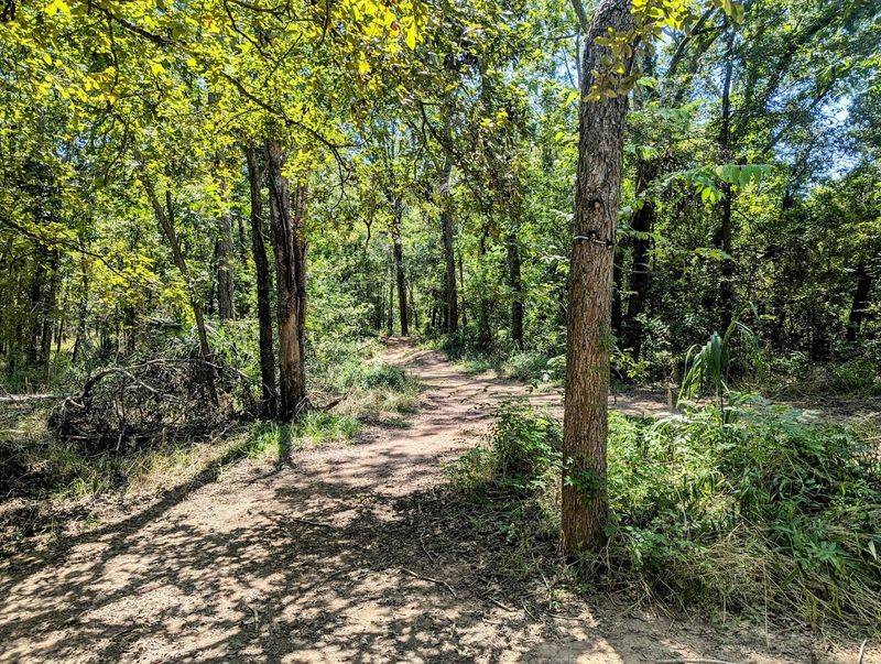 Flat and Flowy Trail Design