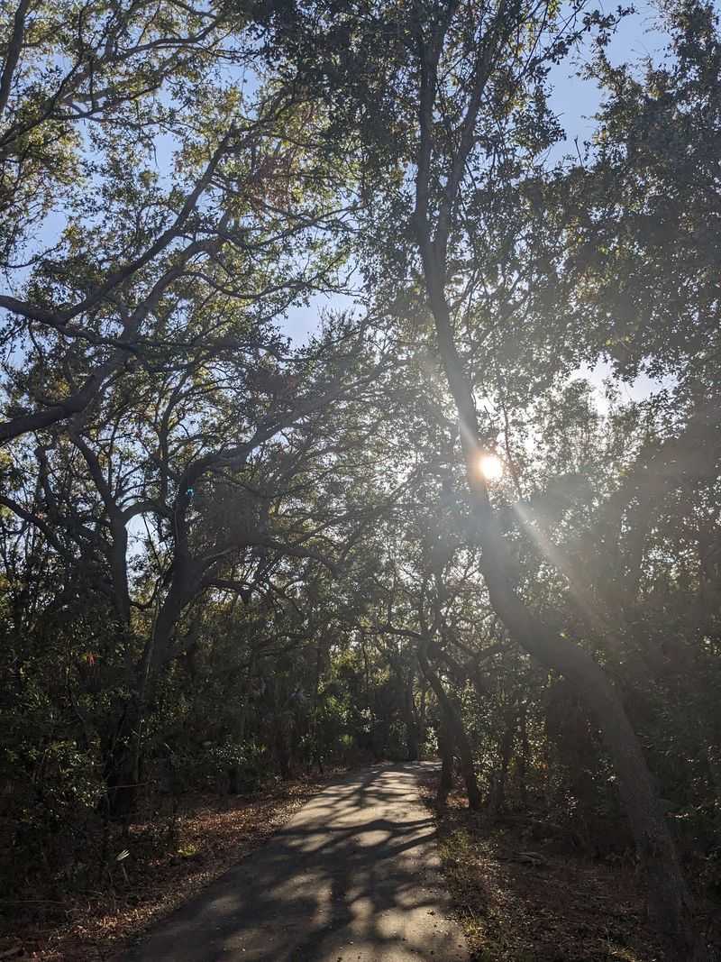 A Paved Loop Trail That Feels Like a Forest Escape