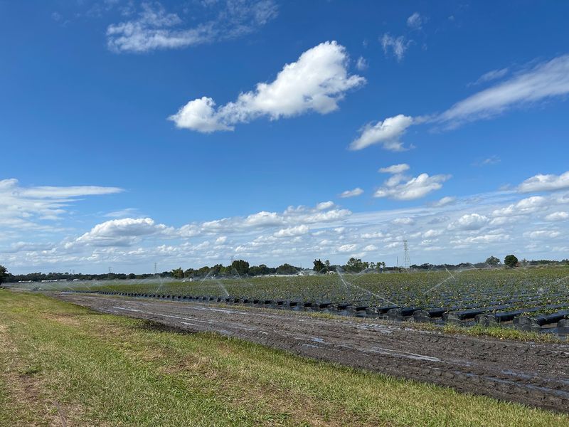 Hop on a Hayride Across a Real Working Ranch