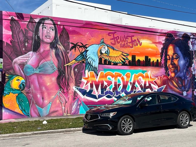 Tour the murals and colorful streets of Wynwood (Miami)