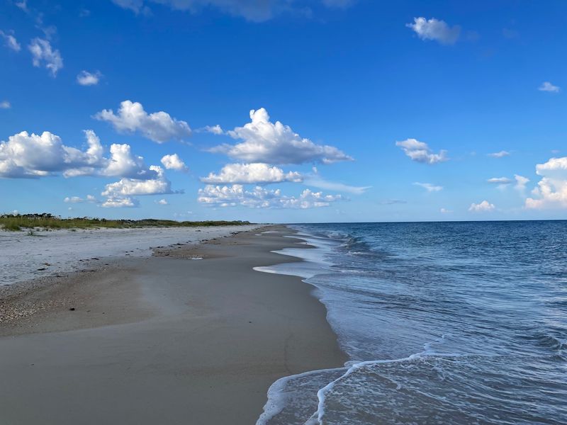 Dr. Julian G. Bruce St. George Island State Park (St. George Island)