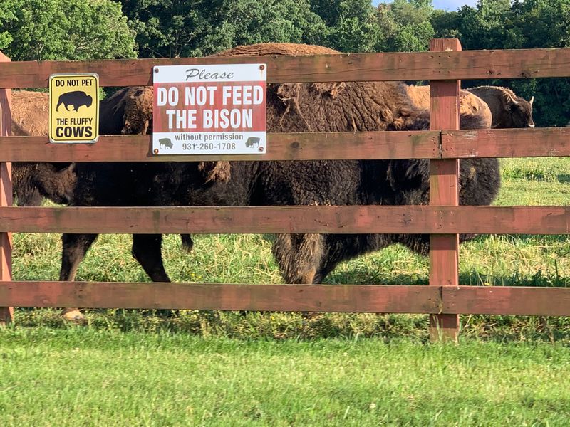 What to Know Before You Visit