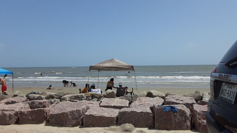 Pet-Friendly Beach Policies