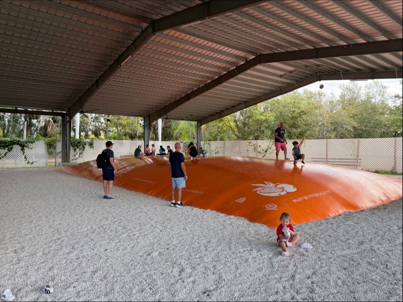 Giant Jumping Pillows That Bounce Like Trampolines