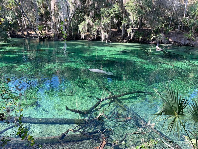 Blue Spring State Park (Orange City)