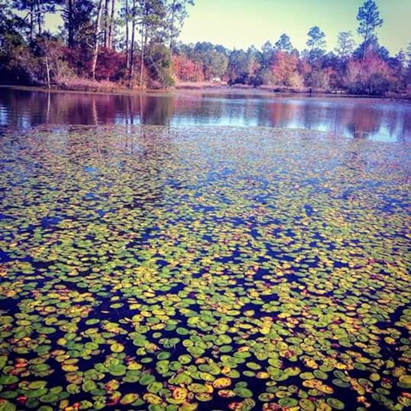 Creeks, Fishing, and Lazy Afternoons