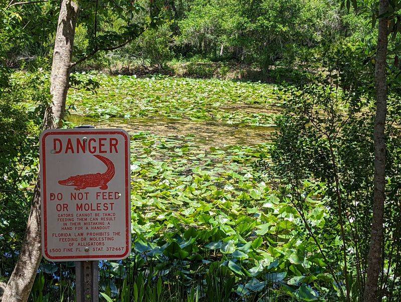 Wildlife Sightings That Happen Naturally