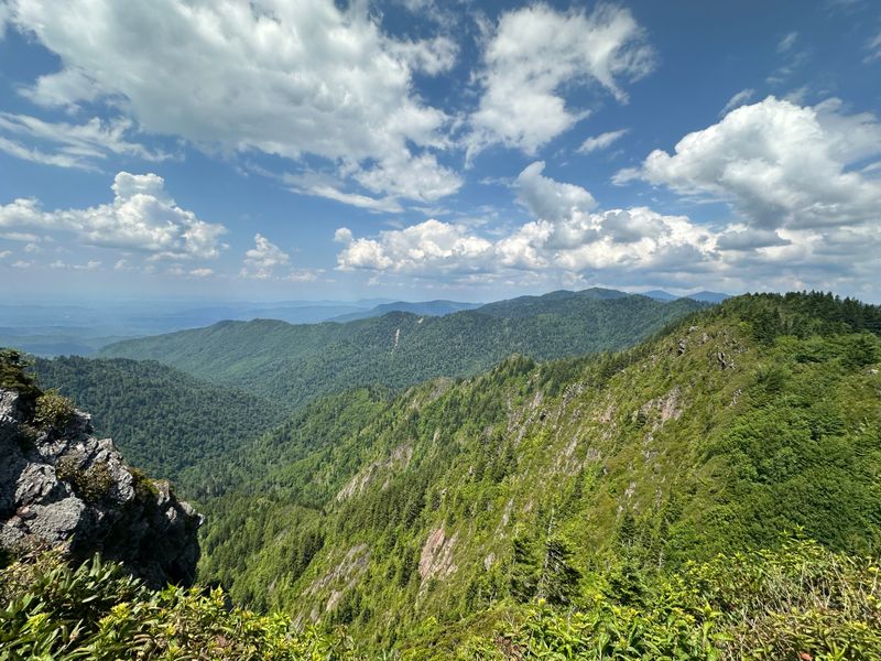 Why Charlies Bunion Is Worth Every Step