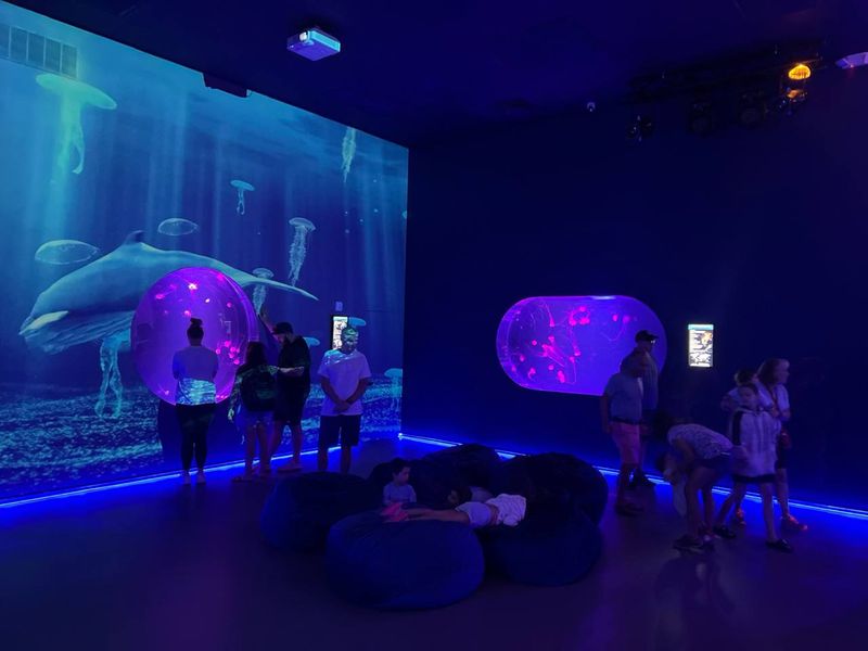 A Marine Biologist's Dream Brought to Life