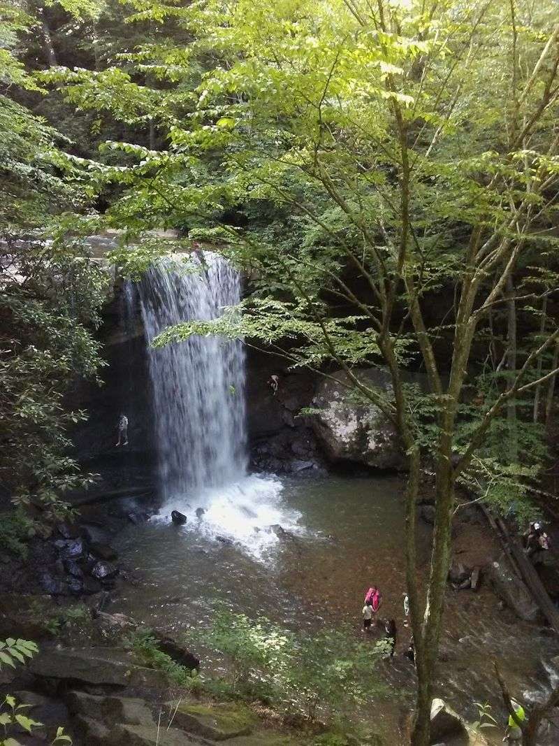 Cucumber Falls and River Gorge Stroll