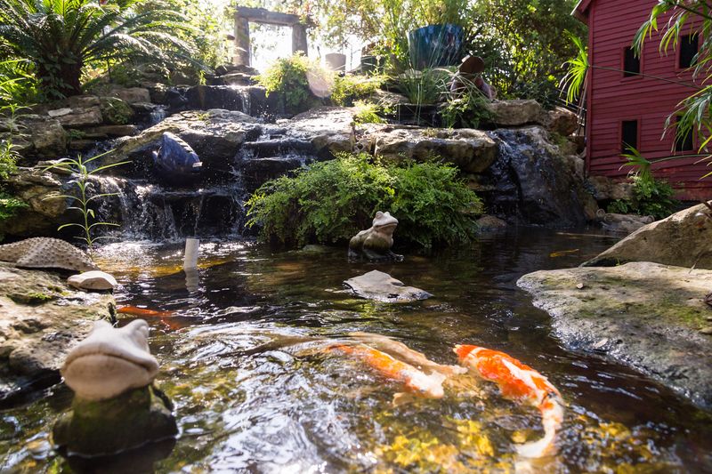 Hidden Features That Make Visiting Feel Special