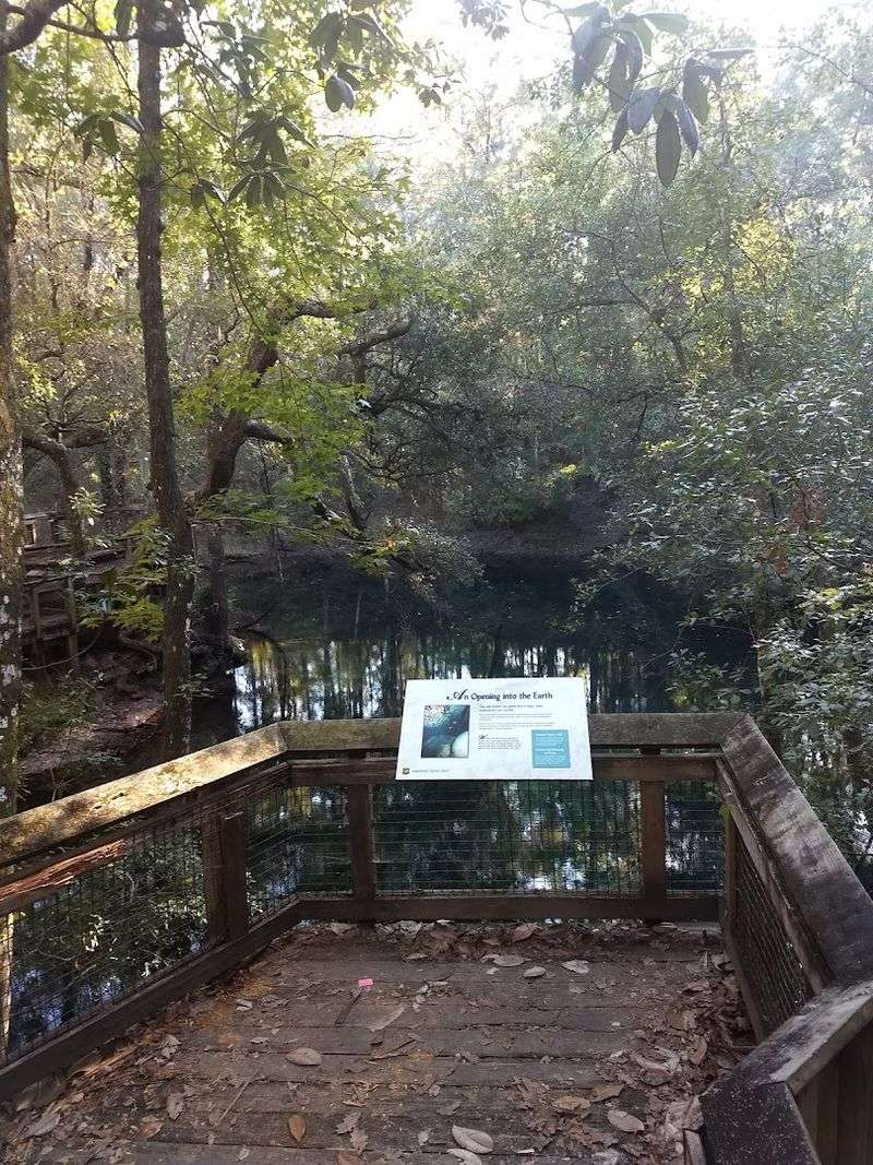 Gopher Hole Cave: The Secret Underground World You Can Actually Peer Into