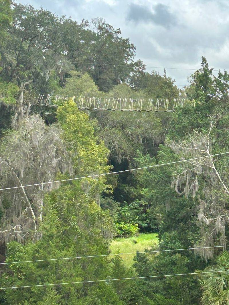 Florida's Record-Breaking Rope Bridge