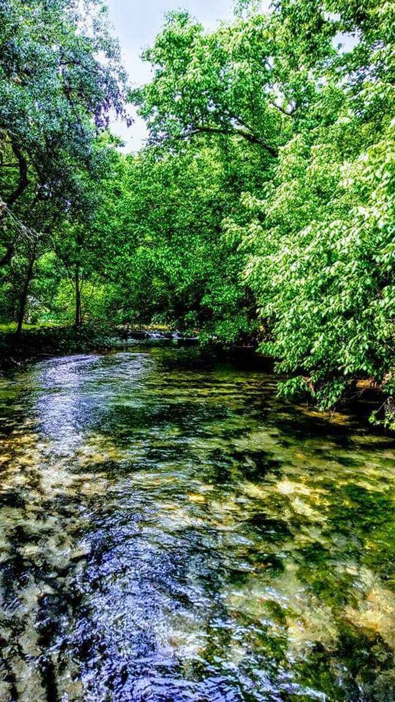 Prime Scuba Diving and Snorkeling Training Grounds