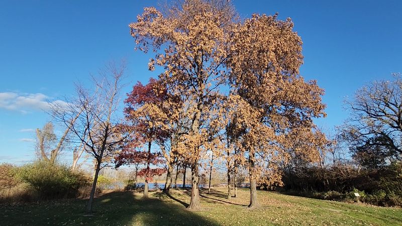 Four Seasons at the Park