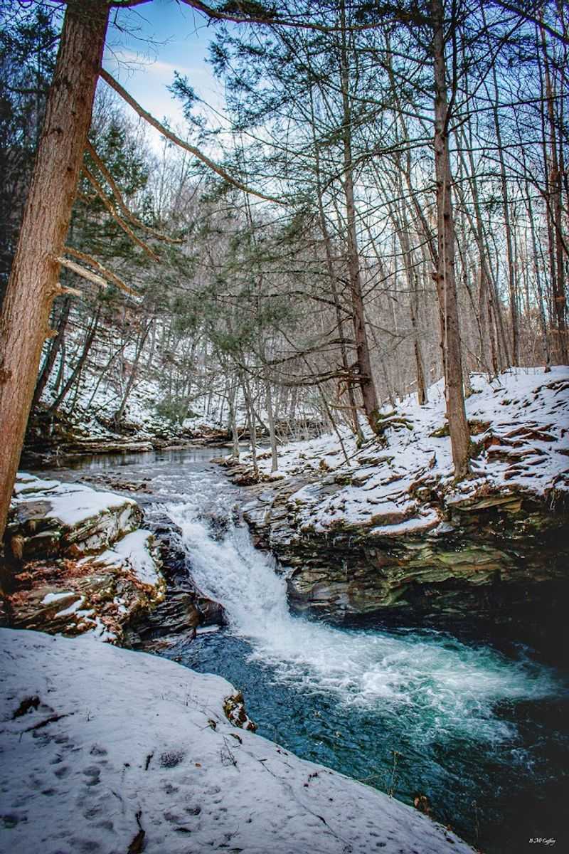 Logistics: Hours, Access, And Navigation