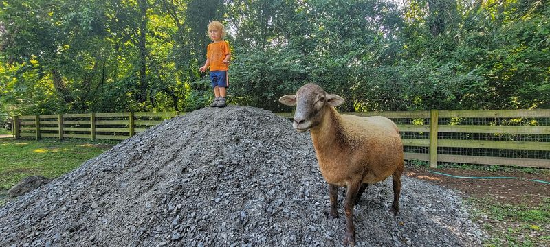 Every resident has a rescue story behind the smile
