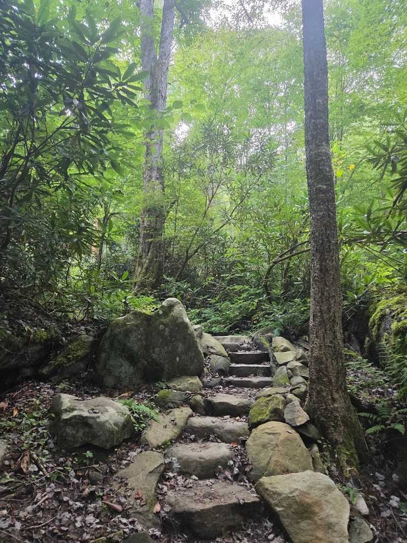 Why This Tennessee Trail Has a Reputation for Being So Challenging
