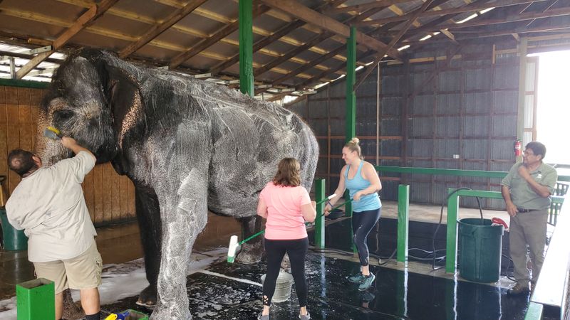 Hands-On Experiences You Can't Get Anywhere Else in Florida