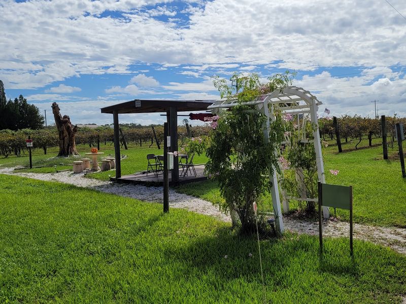 Bunker Hill Vineyard & Winery