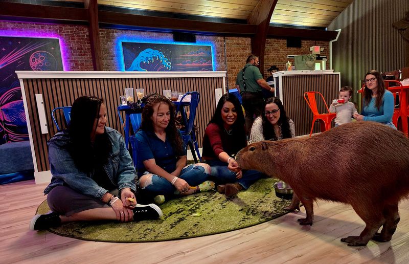 What Wild Encounters Actually Is (And Why Everyone's Talking About It)