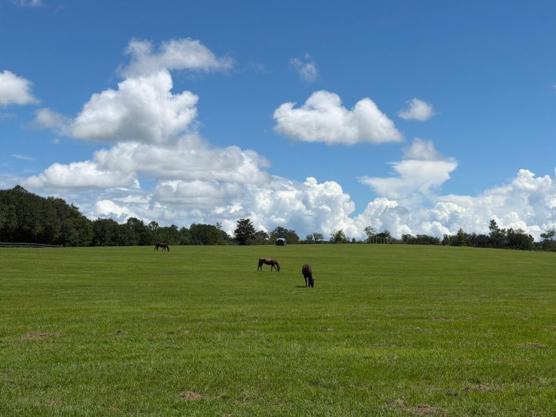 Wide Open Pastures and Paved Paths