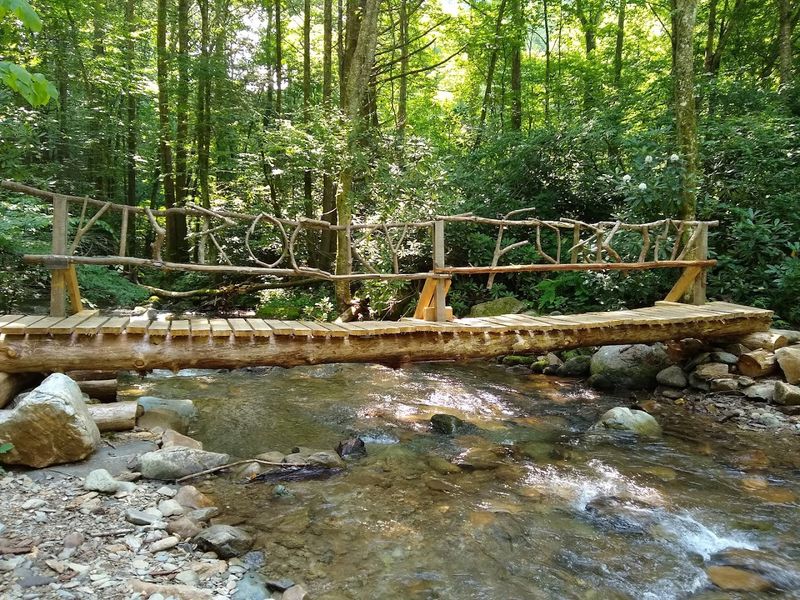 Family Fun and Easy Wins