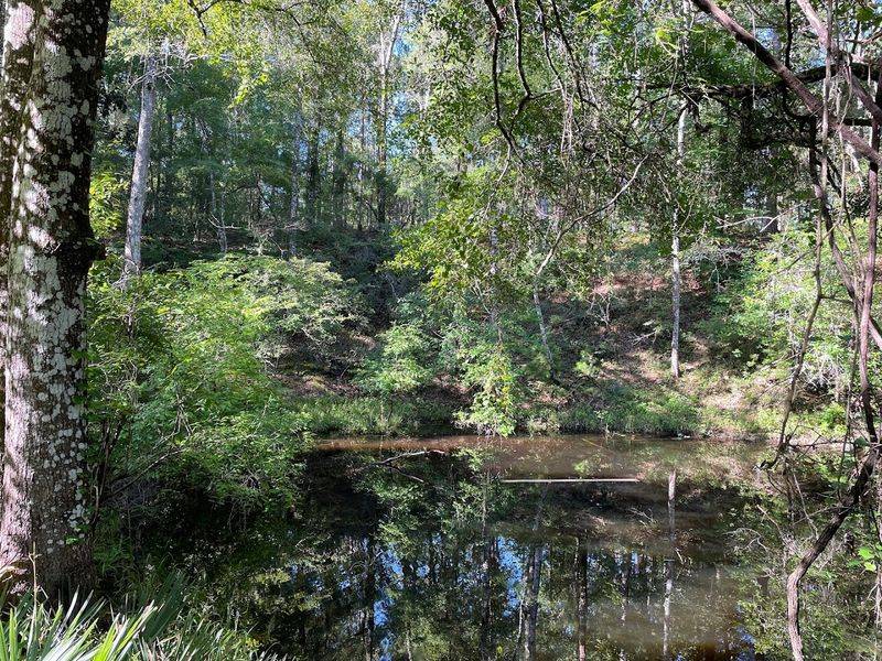 The Disappearing Stream: Nature's Own Magic Trick