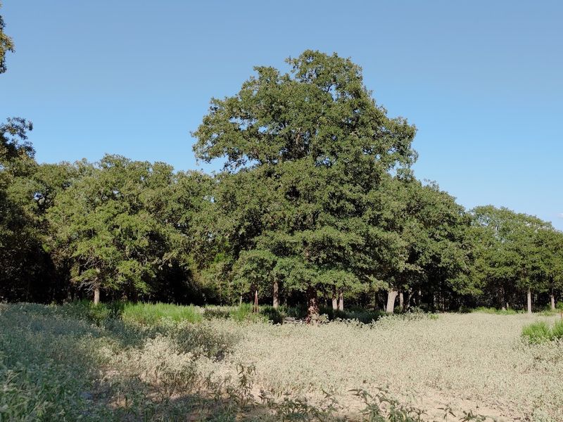 Parks, Trails, and Picnics