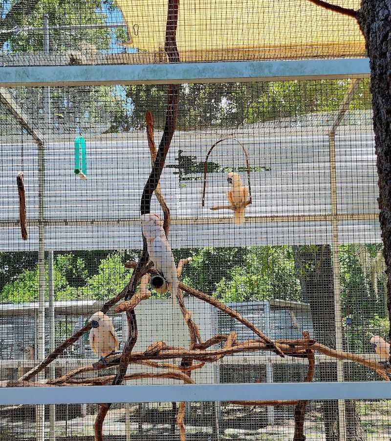 Immaculate Facilities Despite Housing Hundreds Of Birds