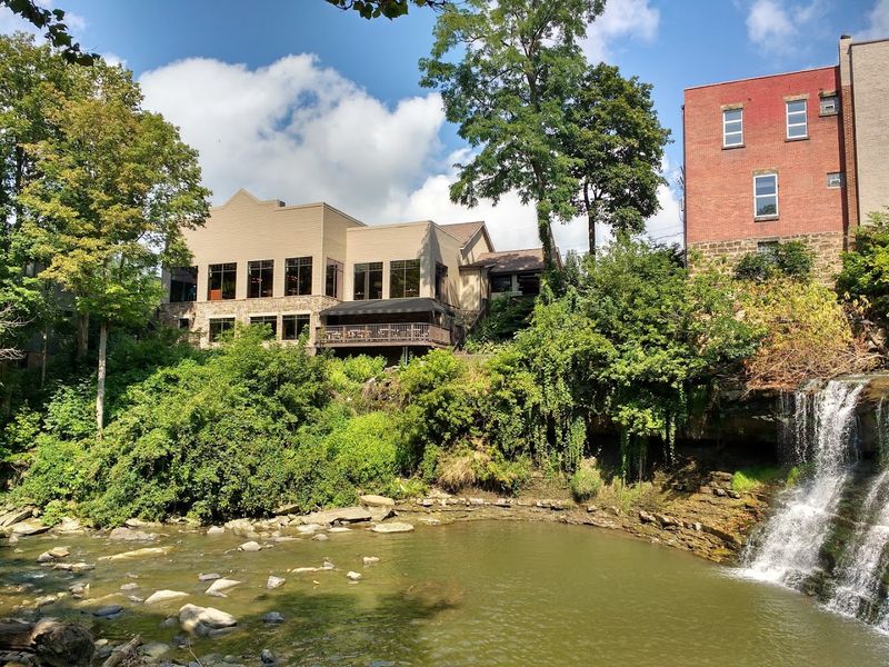 Local Dining and Coffee Stops