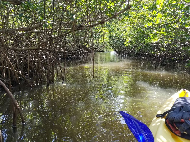 Getting There by Boat or Kayak