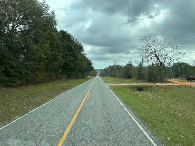 Piney Woods and Quiet Back Roads